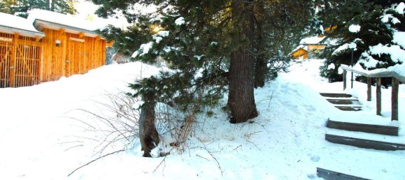 Casa de 4 habitaciónes en Stadl-Predlitz, Austria No. 247327 8