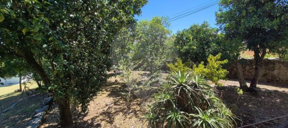 3 bedrooms House in Viana do Castelo, Portugal No. 169395 24