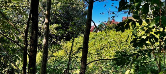  Land in Wolfsegg am Hausruck, Austria No. 114557 5