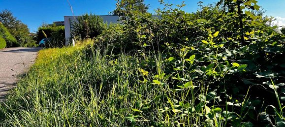  Land in Wolfsegg am Hausruck, Austria No. 114557 2