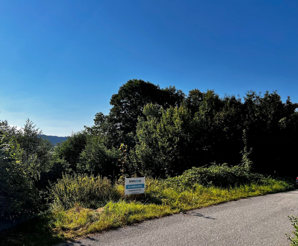  Land in Wolfsegg am Hausruck, Austria No. 114557