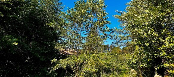  Land in Wolfsegg am Hausruck, Austria No. 114557 6