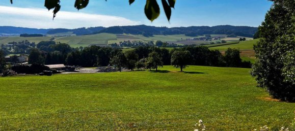  Land in Wolfsegg am Hausruck, Austria No. 114557 3