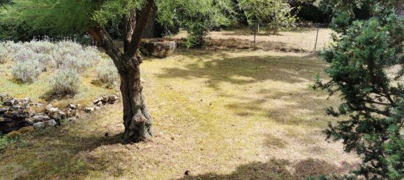 5 bedrooms Bungalow in Mainz-Bingen, Germany No. 295541 4