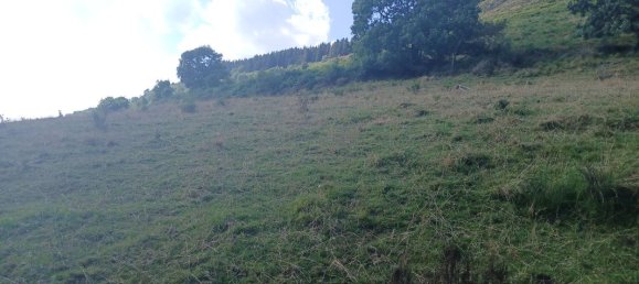 42200m² Land in Cantal, France No. 287229 2
