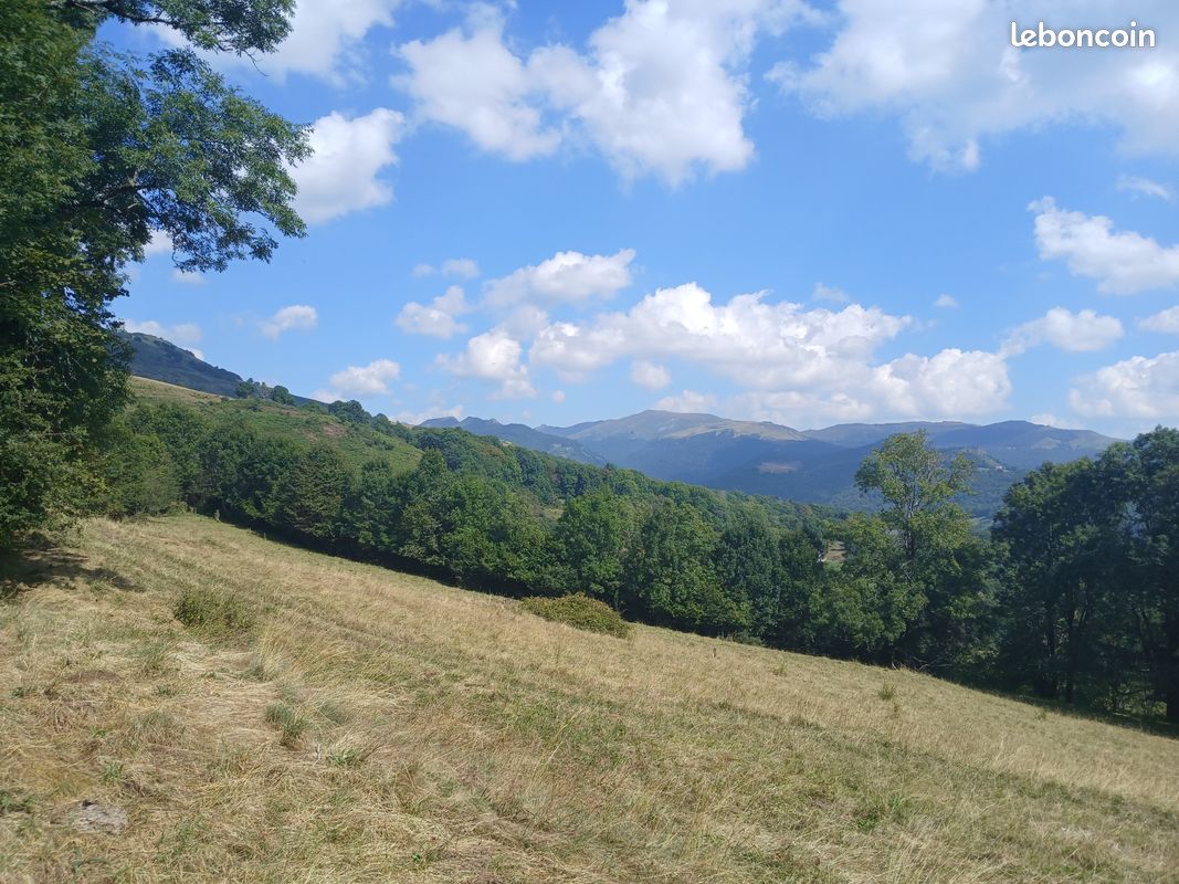 42200m² Land in Cantal, France No. 287229