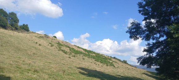 42200m² Land in Cantal, France No. 287229 10