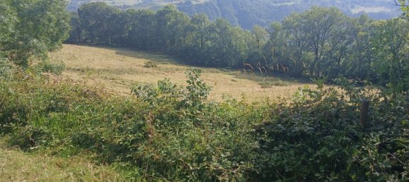 42200m² Land in Cantal, France No. 287229 9