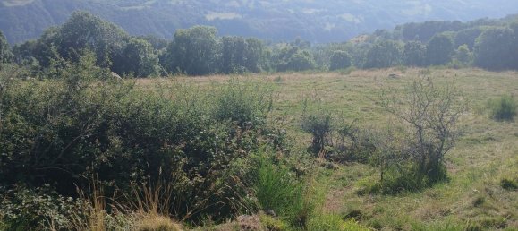 42200m² Land in Cantal, France No. 287229 6