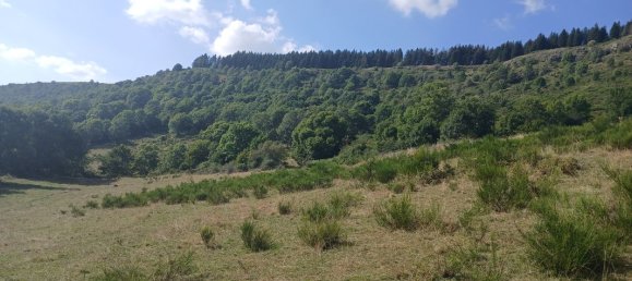 42200m² Land in Cantal, France No. 287229 8
