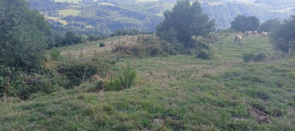 42200m² Land in Cantal, France No. 287229 5