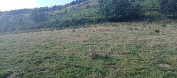 42200m² Land in Cantal, France No. 287229 4