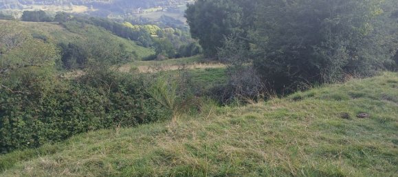 42200m² Land in Cantal, France No. 287229 3