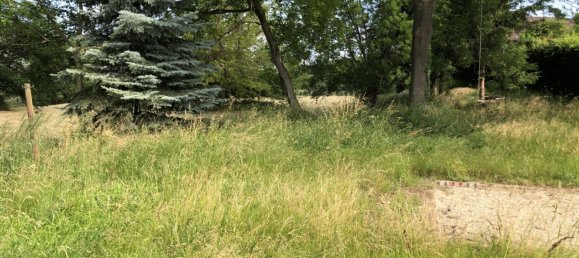 Дом с 12 комнатами в Зале, Германия № 230321 9