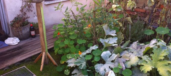 1 غرف نوم منزل في Vorpommern-Greifswald, Germany رقم 243718 12