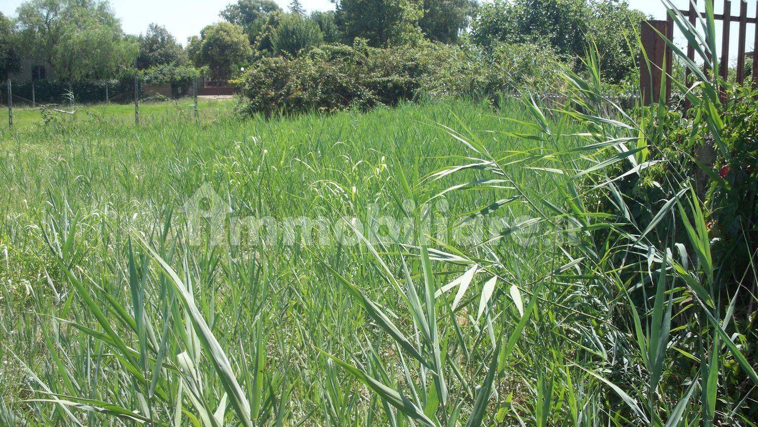 Земельный участок 1200м² в Априлия, Италия № 73487