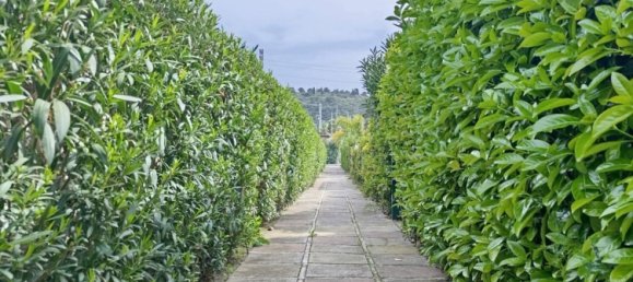 4-Zimmer Villa in Campofelice di Roccella, Italy, Nr. 48058 7