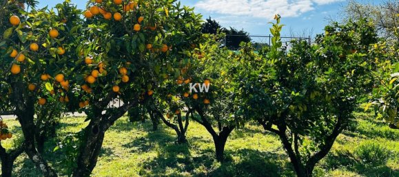 17 bedrooms House in Alenquer, Portugal No. 143540 30