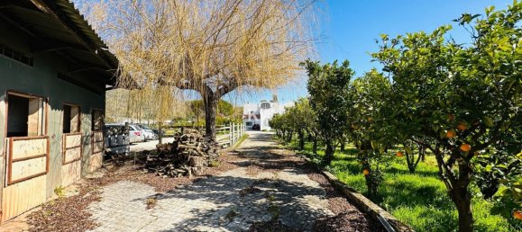 17 bedrooms House in Alenquer, Portugal No. 143540 2