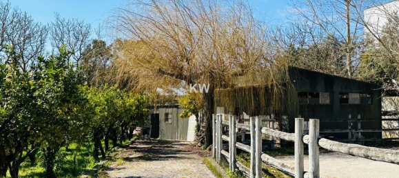 17 bedrooms House in Alenquer, Portugal No. 143540 35