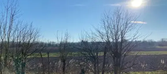 4 غرف نوم منزل في Enzkreis, Germany رقم 32675 11