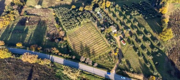 1 room Land in Roccastrada, Italy No. 136904 5