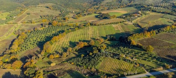 1 room Land in Roccastrada, Italy No. 136904 7