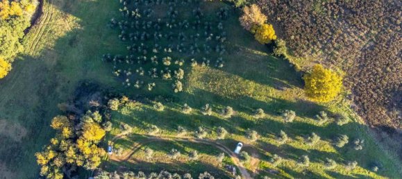 1 room Land in Roccastrada, Italy No. 136904 2