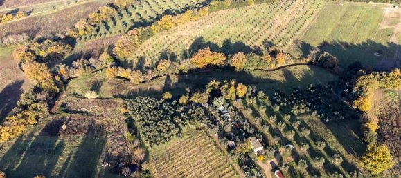 1 room Land in Roccastrada, Italy No. 136904 6