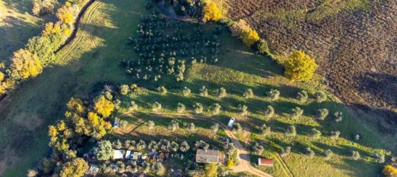 1 room Land in Roccastrada, Italy No. 136904 3