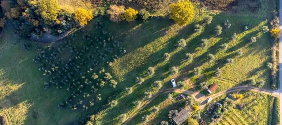 1 room Land in Roccastrada, Italy No. 136904 8