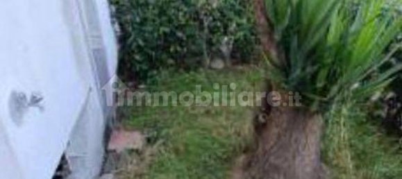 3-Zimmer Gewerbliche Immobilie in Viareggio, Italy, Nr. 270793 29