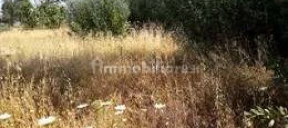 3-Zimmer Gewerbliche Immobilie in Viareggio, Italy, Nr. 270793 22