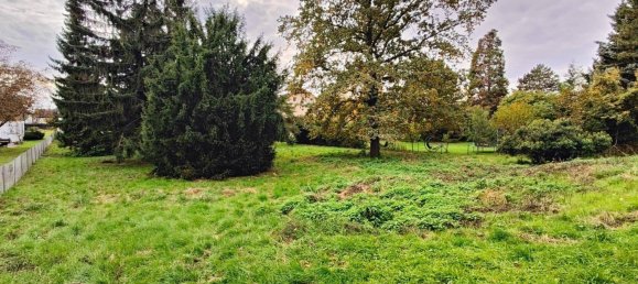 Terreno em Langenzersdorf, Austria 2429 m² N.º 260883 2