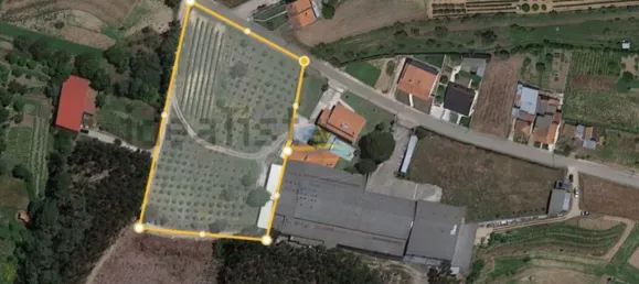 3 Schlafzimmer Haus in Soure, Portugal, Nr. 139733 38