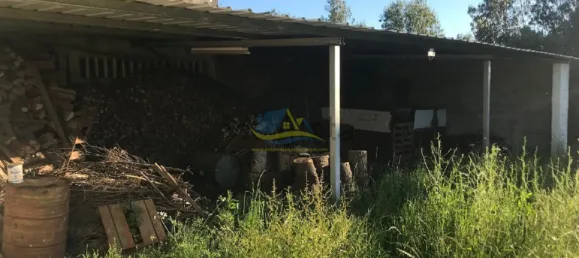 3 Schlafzimmer Haus in Soure, Portugal, Nr. 139733 34