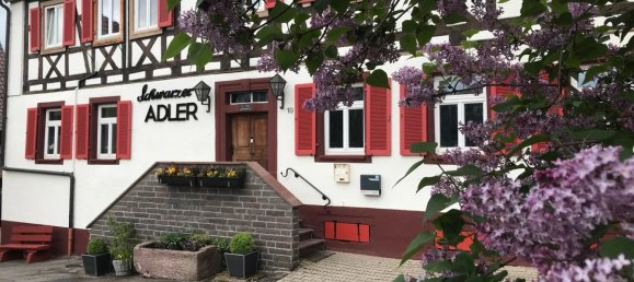 1094m² Hotel in Enzkreis, Germany No. 218866 13