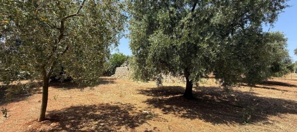 3-Zimmer Haus in Fasano, Italy, Nr. 297852 13