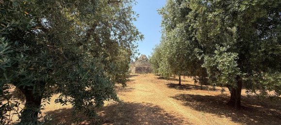 3-Zimmer Haus in Fasano, Italy, Nr. 297852 21