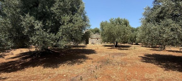 3-Zimmer Haus in Fasano, Italy, Nr. 297852 10