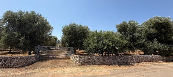 3-Zimmer Haus in Fasano, Italy, Nr. 297852 22