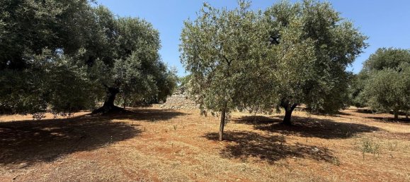 3-Zimmer Haus in Fasano, Italy, Nr. 297852 12