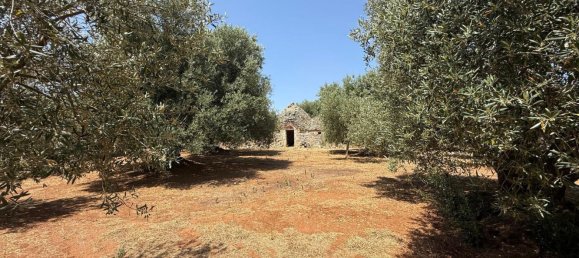 3-Zimmer Haus in Fasano, Italy, Nr. 297852 14