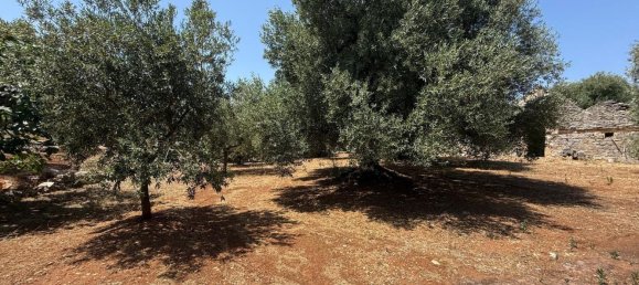 3-Zimmer Haus in Fasano, Italy, Nr. 297852 11