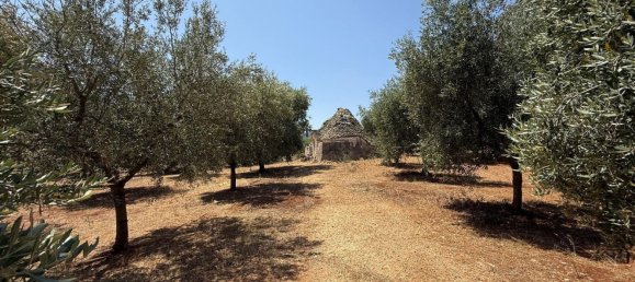 3-Zimmer Haus in Fasano, Italy, Nr. 297852 17