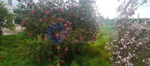 3 Schlafzimmer Haus in Ferreira do Zezere, Portugal, Nr. 14499 30