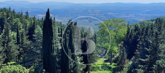 9 rooms House in Castellina in Chianti, Italy No. 147249 42