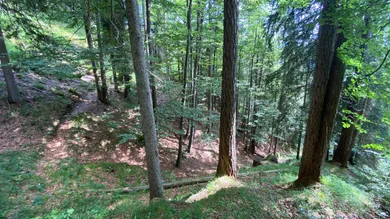 Grundstück in Waidring, Austria, Nr. 52430