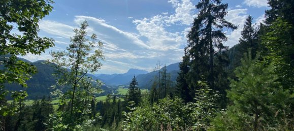 Grundstück in Waidring, Austria, Nr. 52430 2