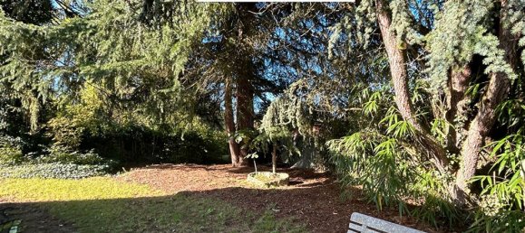 3 Schlafzimmer Haus in Tigy, France, Nr. 80551 2